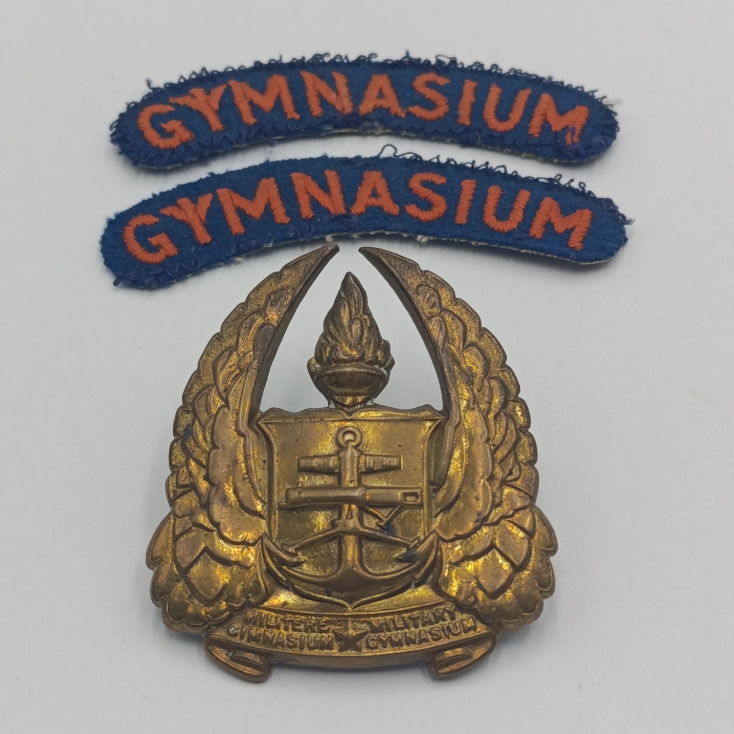 SADf Military Gymnasium cap badge and cloth shoulder titles