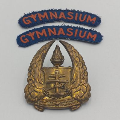 SADf Military Gymnasium cap badge and cloth shoulder titles