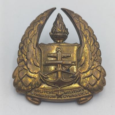 SADf Military Gymnasium cap badge and cloth shoulder titles