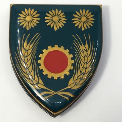 SADF Northern Transvaal Maintenance Unit shoulder flash