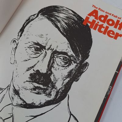 The rise and fall of Adolf Hitler by Judith Steeh
