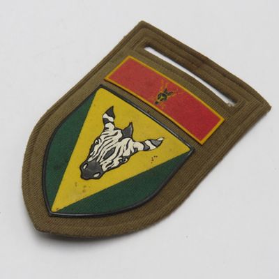 SADF Cape Regiment tupperware flash