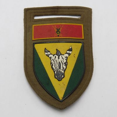 SADF Cape Regiment tupperware flash