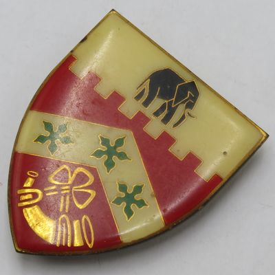 SADF Port Elizabeth Commando shoulder flash