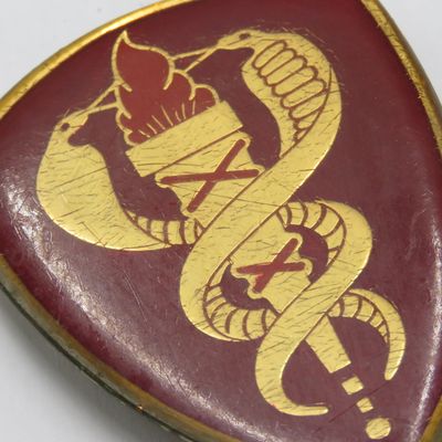 SADF Medical Training Centre shoulder Flash