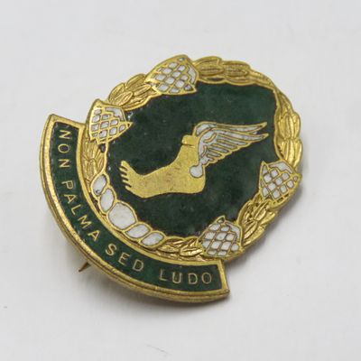 SA Prison Services sports club pin badge