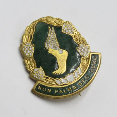 SA Prison Services sports club pin badge