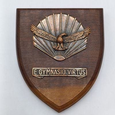 SA Air Force Gymnasium plaque