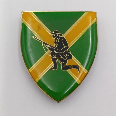 SADF Danie Theron Combat School Shoulder Flashes - South African Army Insignia