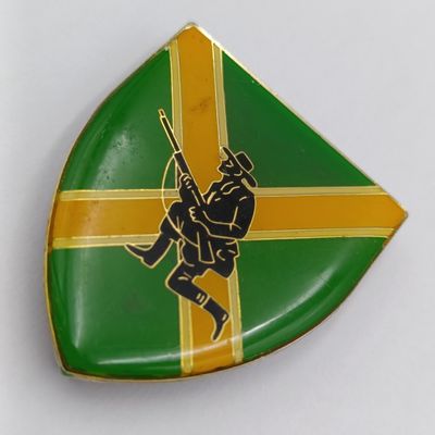 SADF Danie Theron Combat School Shoulder Flashes - South African Army Insignia