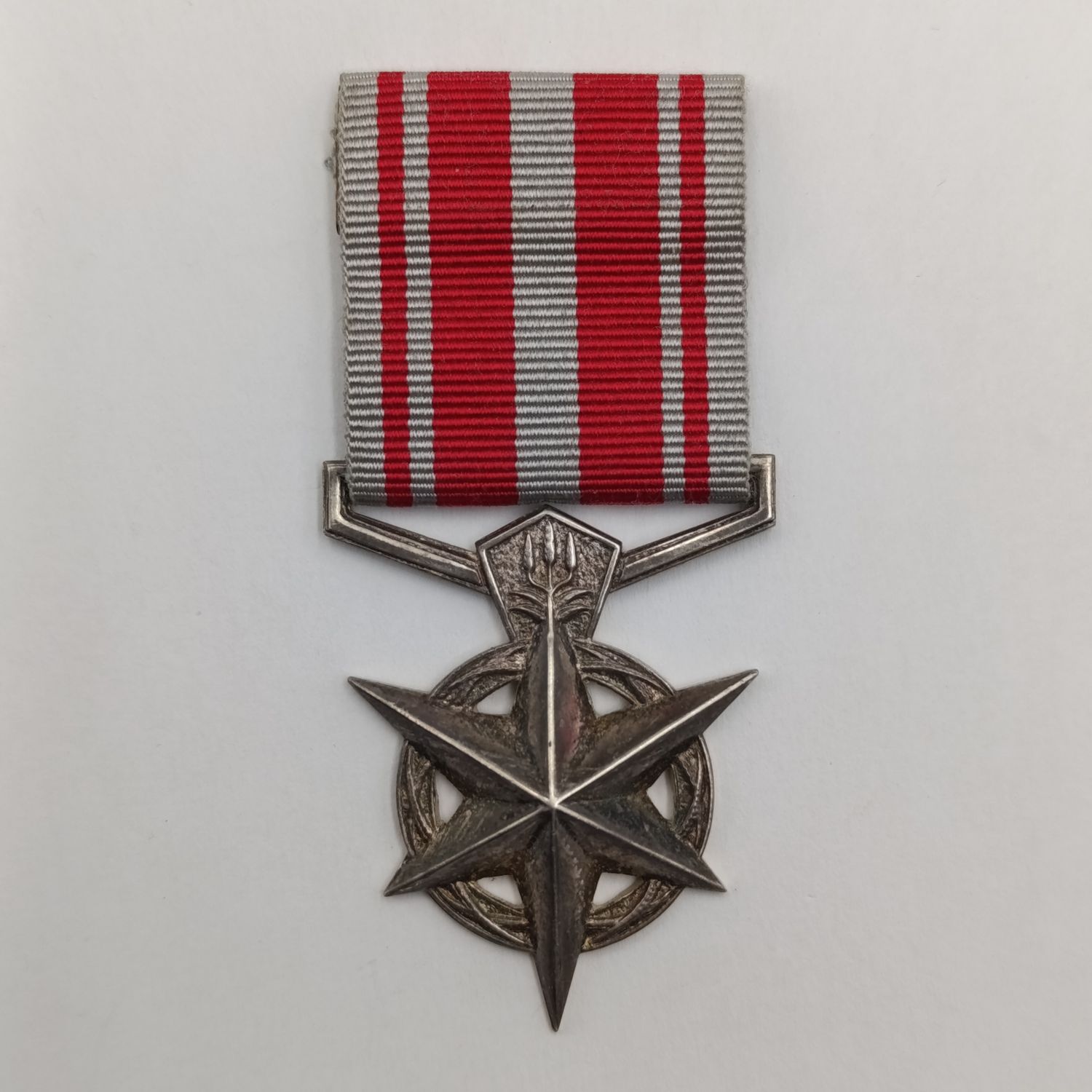 SA Police combatting terrorism silver medal - unnamed