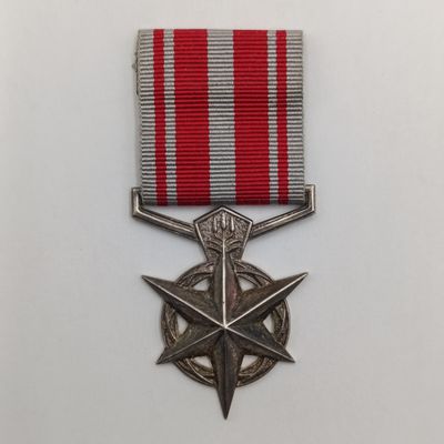 SA Police combatting terrorism silver medal - unnamed