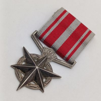 SA Police combatting terrorism silver medal - unnamed