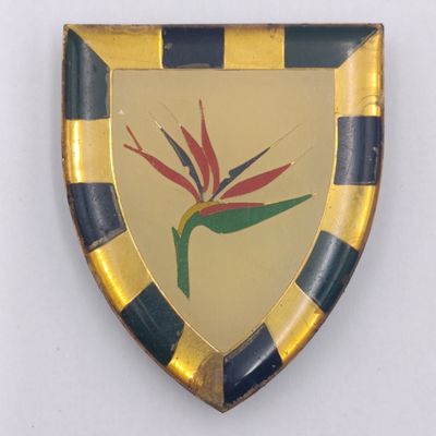 SADF 6 SA Infantry shoulder flash