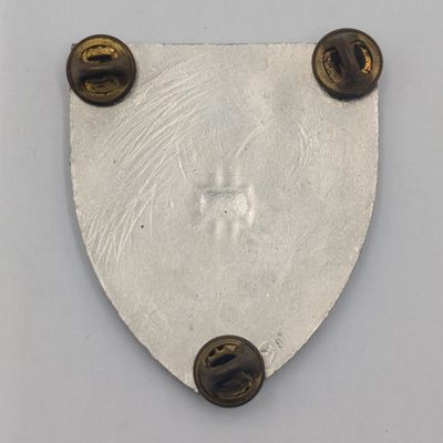 SADF 1 Signal regiment shoulder flash