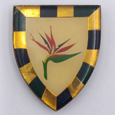 SADF 6 SA Infantry shoulder flash