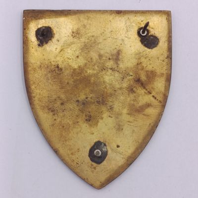 SADF 6 SA Infantry shoulder flash