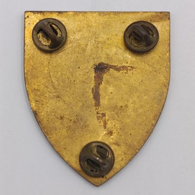 SADF Port Elizabeth Commando shoulder flash