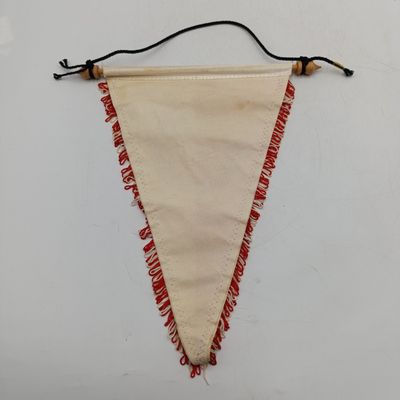 Vintage Feyenoord Rotterdam Football club pennant flag