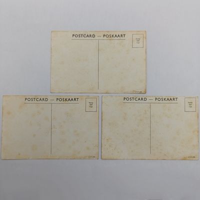 Lot of 3 postcards of the SS Seafarer