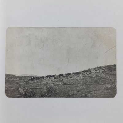 1934 German South West Africa Postcard with 1/2d (half penny) stamp extra 1934 Chistmas stamp posted in Okahandja - Picture of oxen and oxwagen