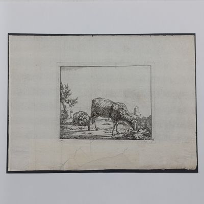 Lot of 8 original copperplate engravings printed in 1664 - Done by MD Bije