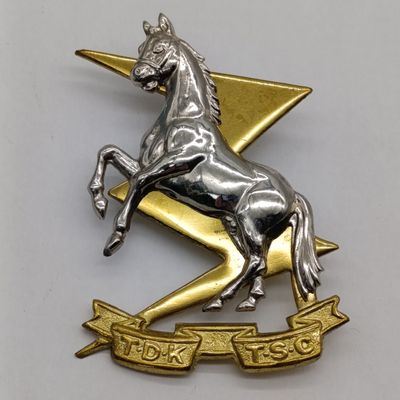 SADF Technical service corps - large beret badge - used after 1960 - excellent condition