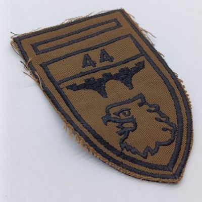 44 Field Engineer section of 44 parachute brigade cloth nutria flash