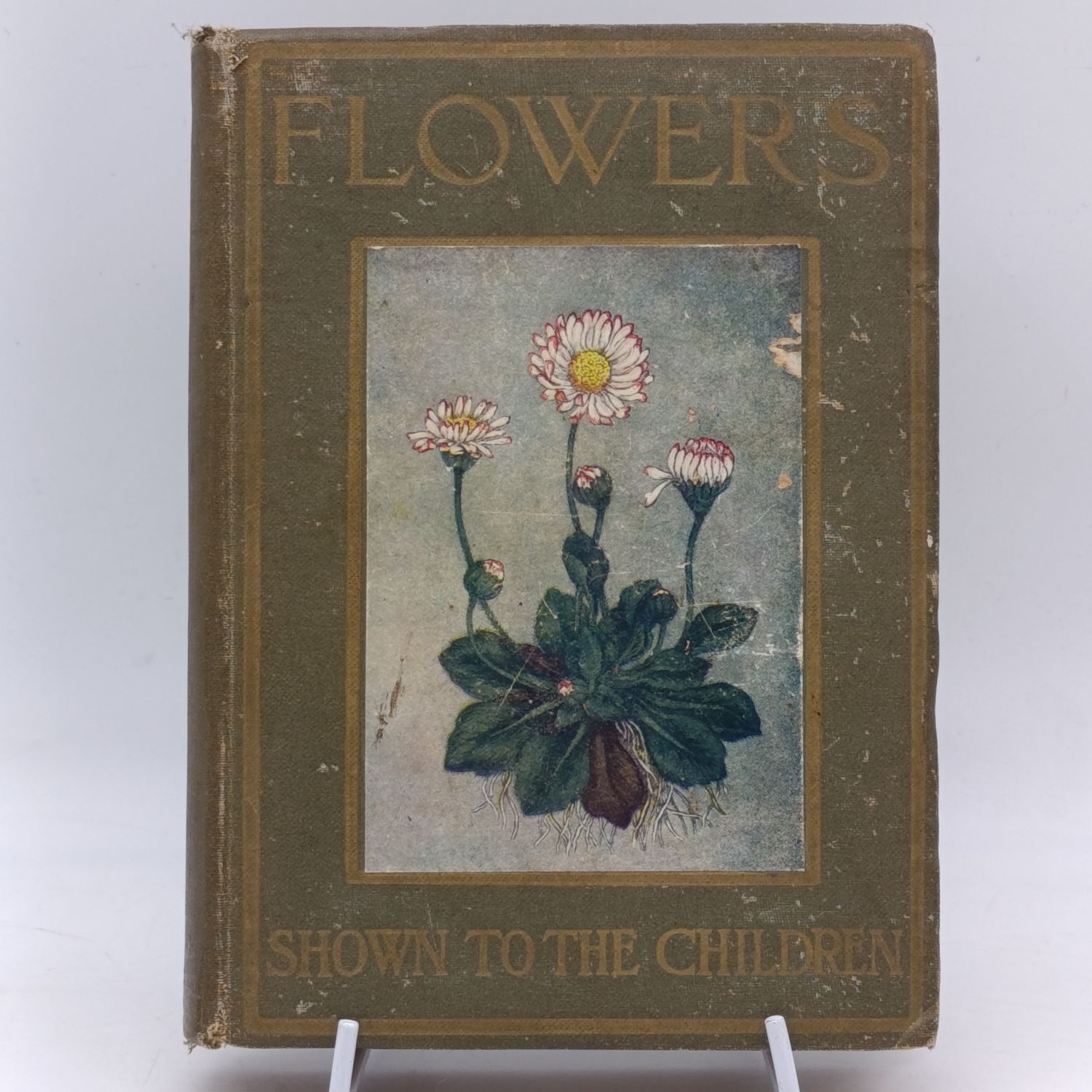 Flowers Shown to the Children - Antique Children's book with 48 color pictures
