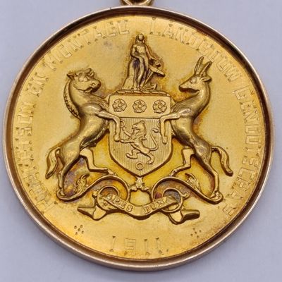 1911 Medal Issued for the best horse buggy at the Robertson and Montagu show to JA van Zijl Jr
