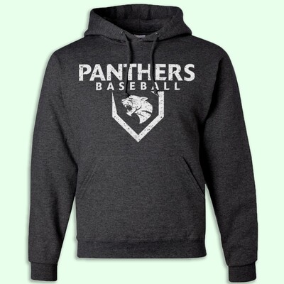 Panthers Edge Dx Pullover Hoodie