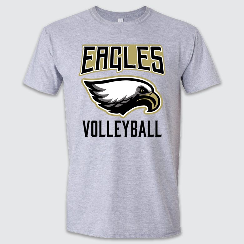 Fierce Eagle TF T-Shirt, Color: Grey, Size: S