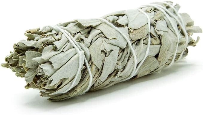 Sage 4 &quot;