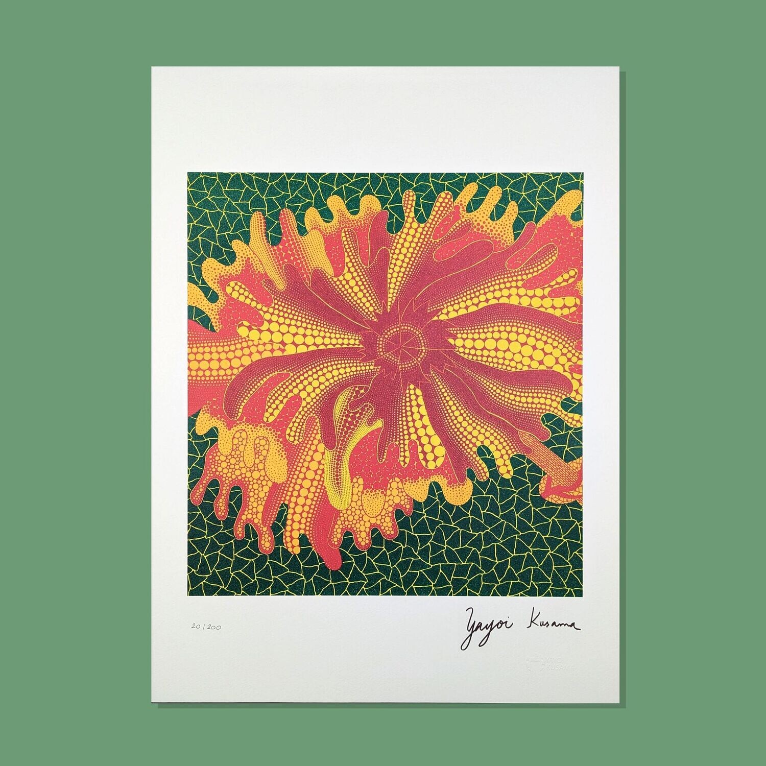Yayoi KUSAMA, lithographie flower