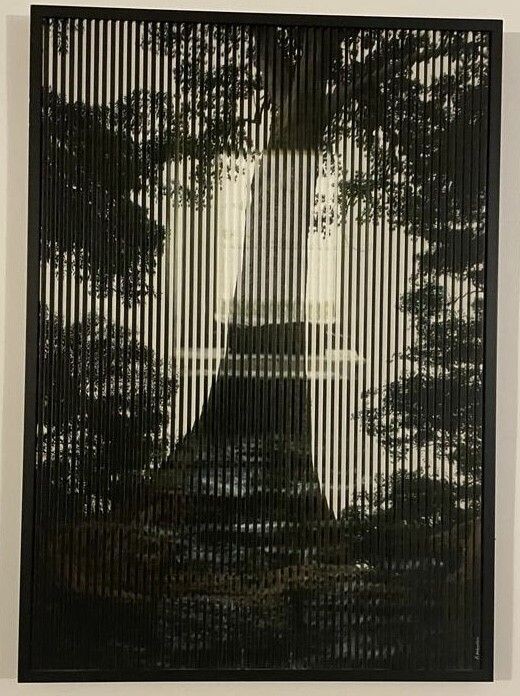 Patrick RUBINSTEIN, Naturalisme