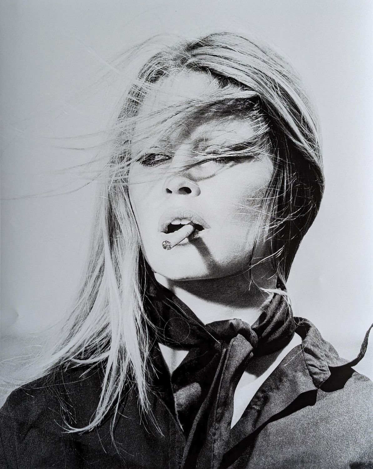 PHOTO DE PRESSE, Brigitte BARDOT