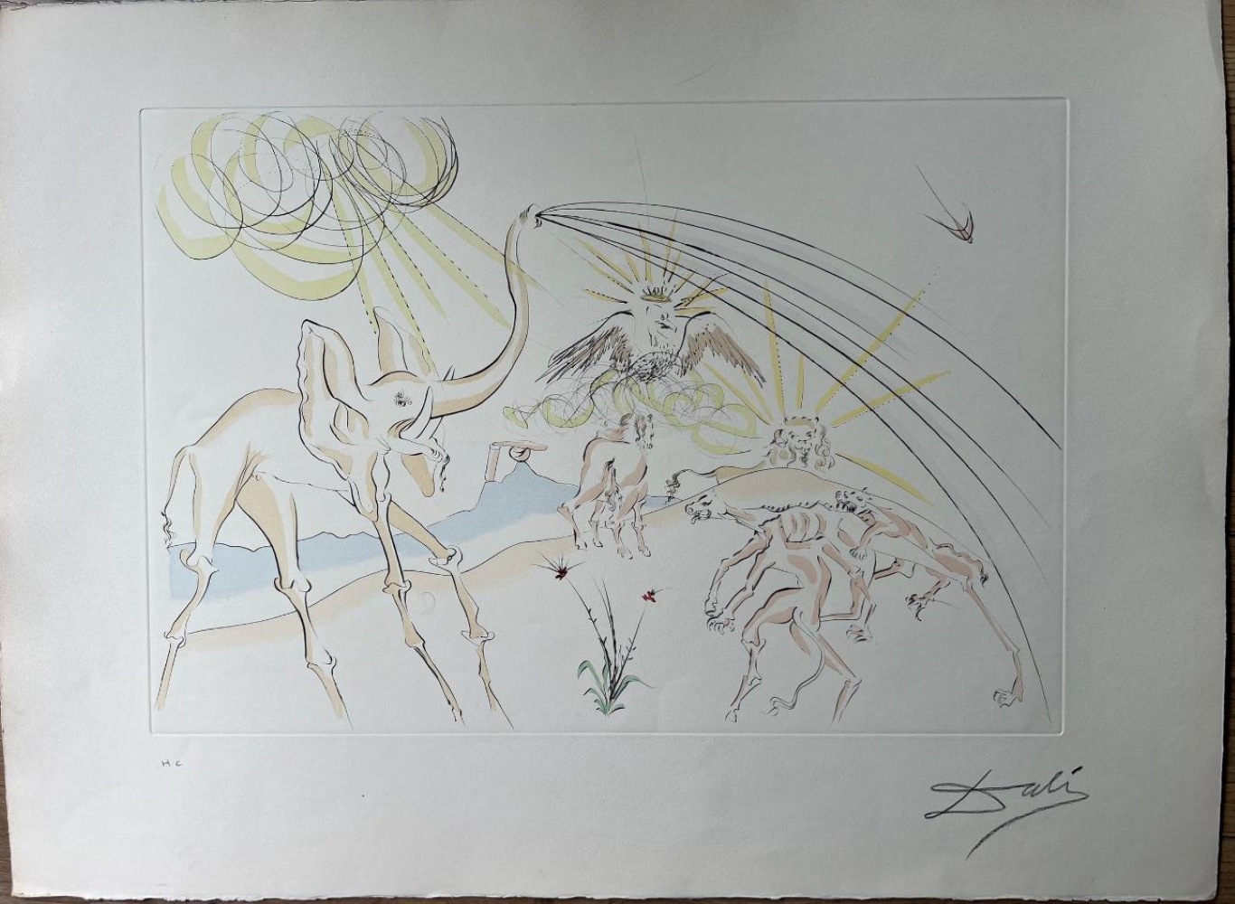 SALVADOR DALI, Les animaux malades