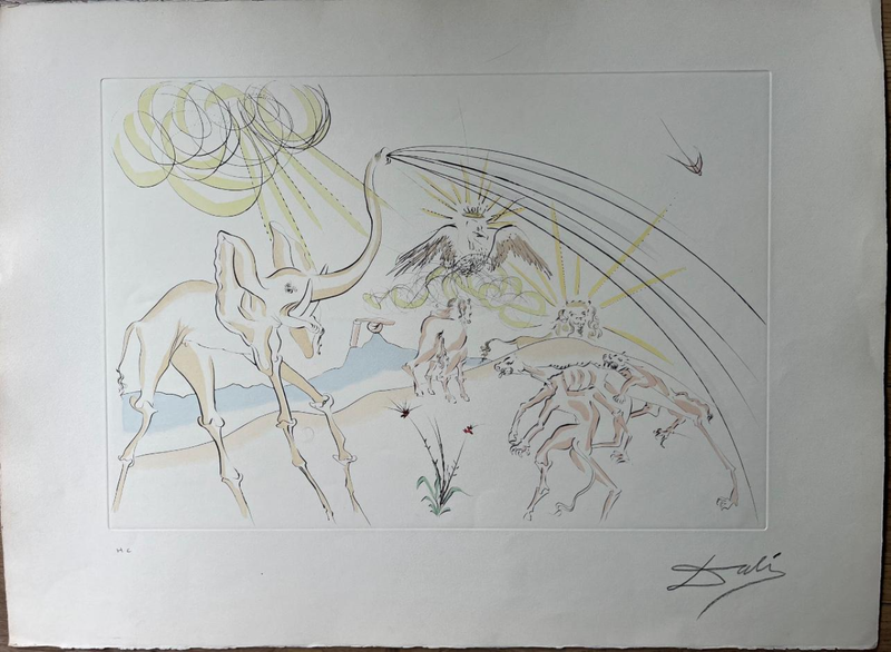 SALVADOR DALI, Les animaux malades