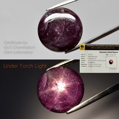 Big Rare! 49.42ct Round Natural Unheated Red Two Side 6 Ray Star-Ruby *Certified