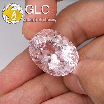 BIG RARE! 43.41ct 26.4x20.3mm Oval Natural Pink Morganite *Free GLC Certified