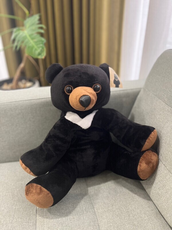 ตุ๊กตาหมี (Asiatic black teddy bear)