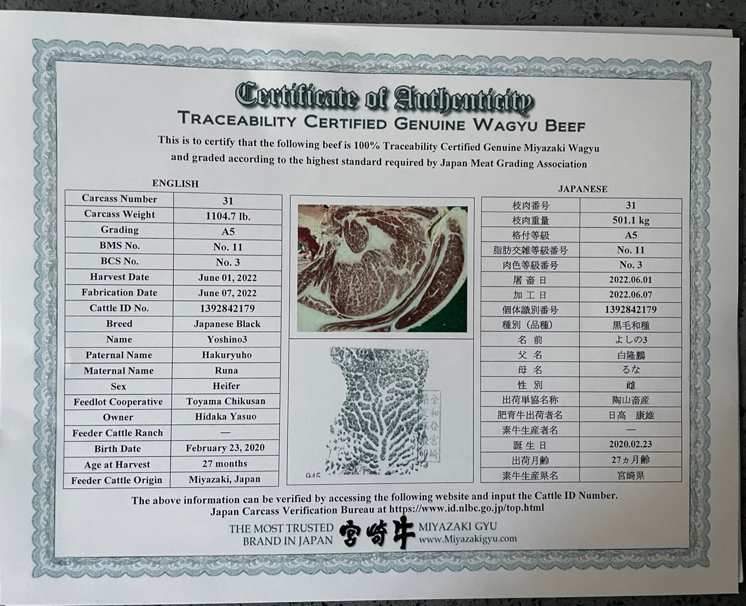 Miyazaki GYU A5 Ribeye- "Thick Cut"