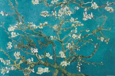 VAN GOGH - Almond blossoms