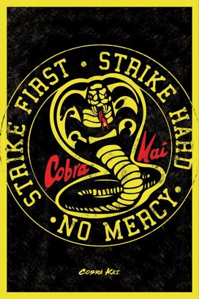 Cobra Kai 2