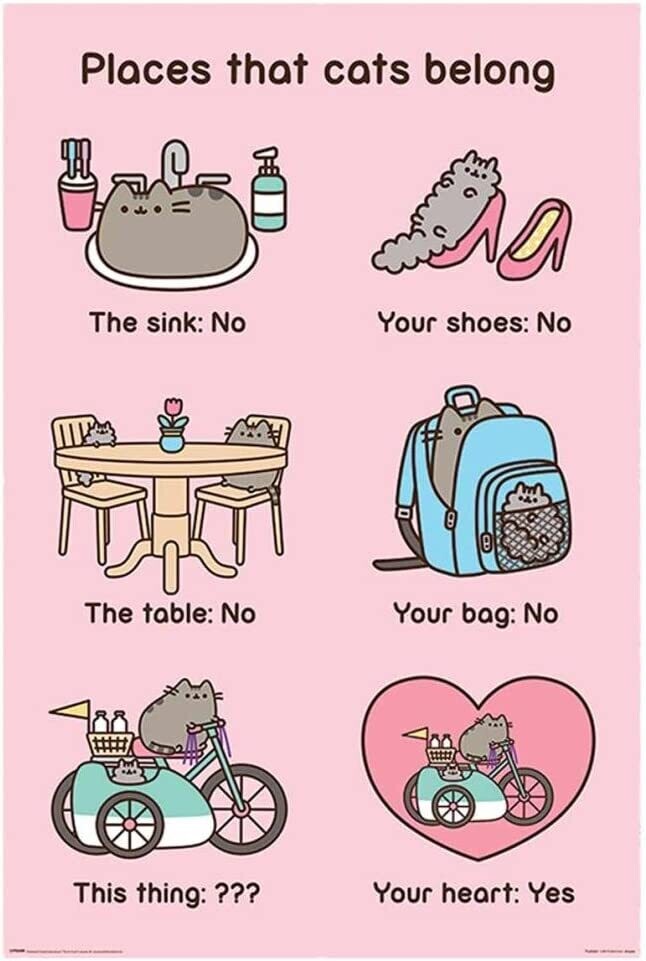 Pusheen Places Cats Belong 61×91,5cm PP34254