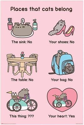 Pusheen Places Cats Belong 61×91,5cm PP34254