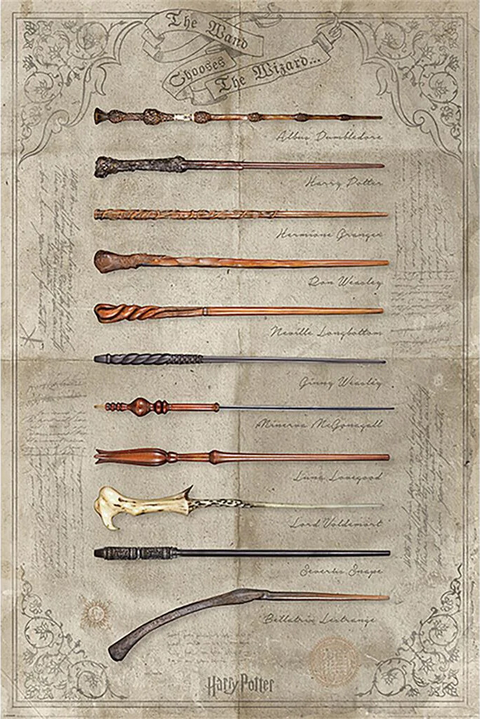 Harry Potter The Wand Chooses the Wizard 61×91,5cm PP34395