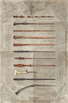 Harry Potter The Wand Chooses the Wizard 61×91,5cm PP34395