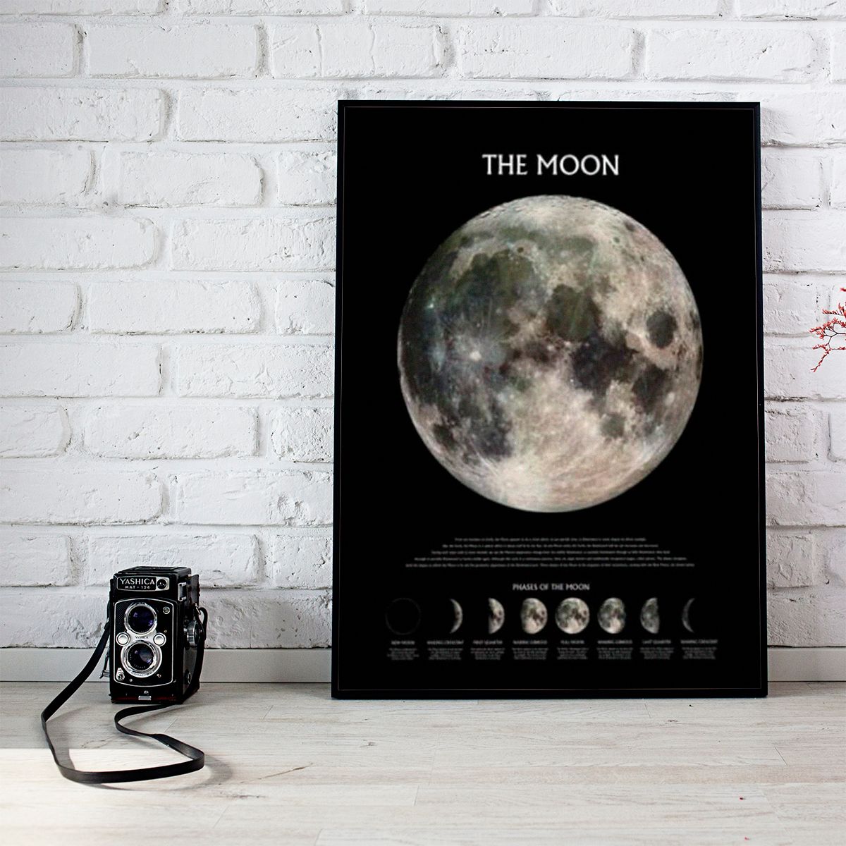 The Moon Phases 61×91,5cm PP0432