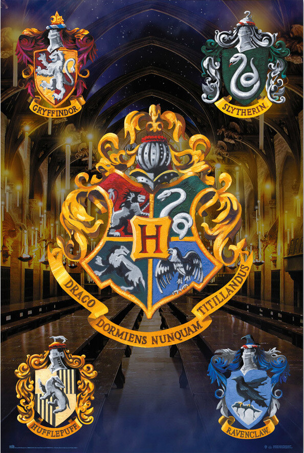 Harry Potter Hogwarts Shields 61×91,5cm GPE5650